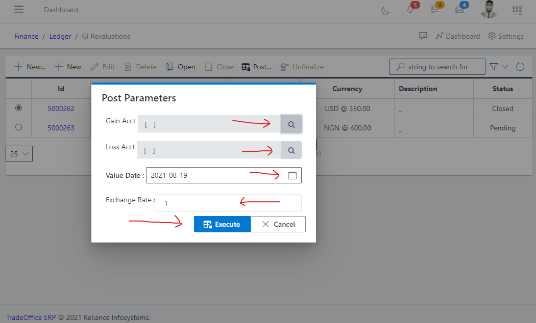 Image showing posting parameters form for GL Revalue