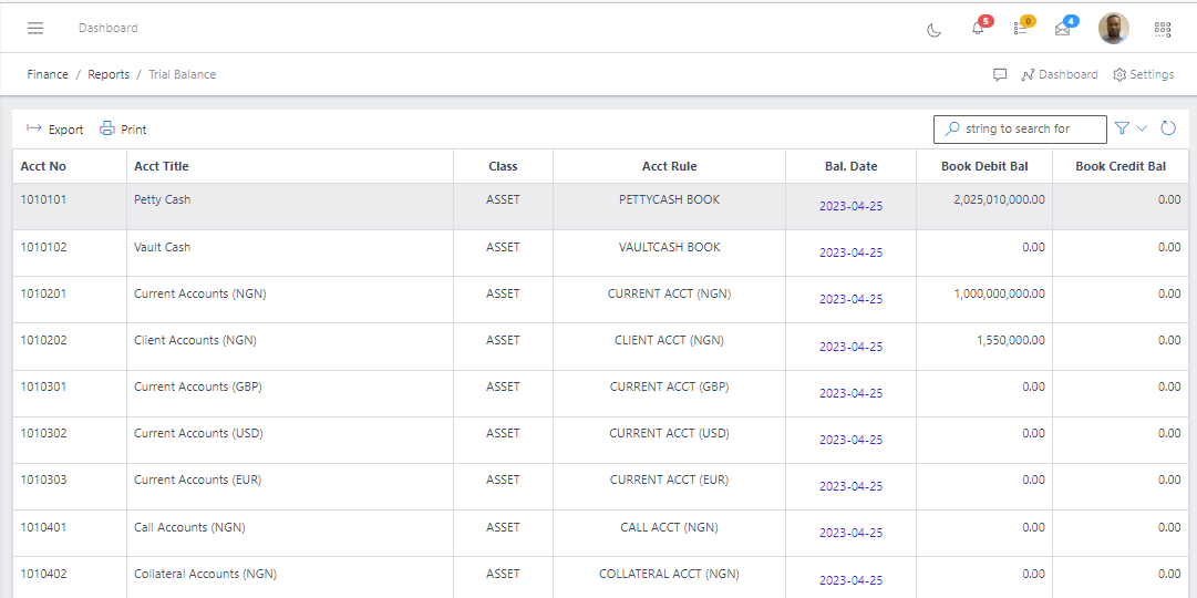 Image showing list view of Trial Balance