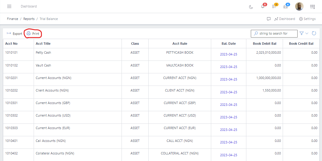 Image showing Trial Balance export button